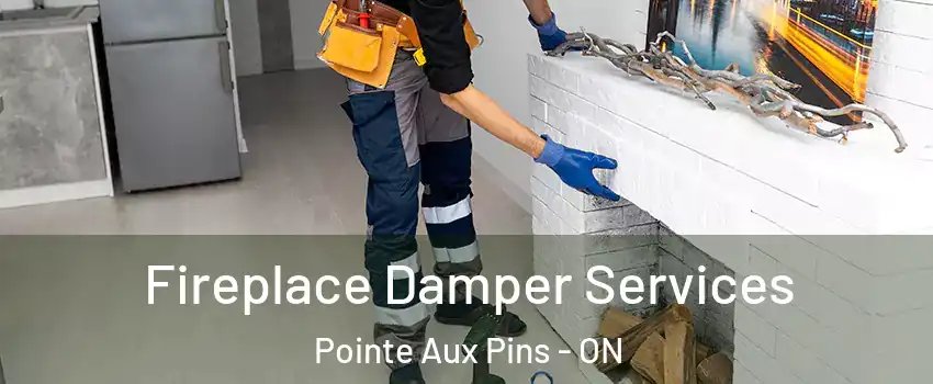  Fireplace Damper Services Pointe Aux Pins - ON