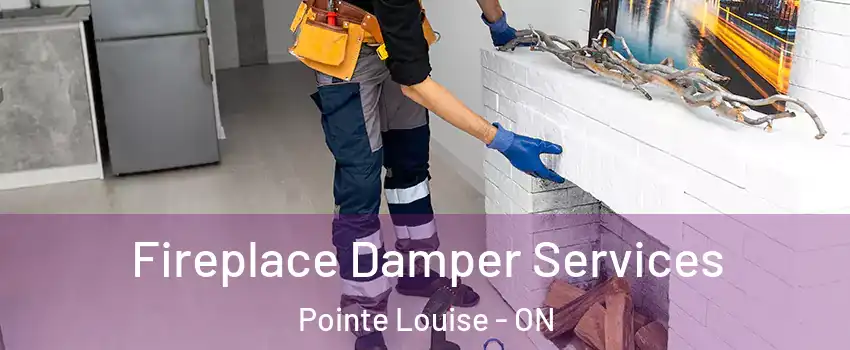  Fireplace Damper Services Pointe Louise - ON