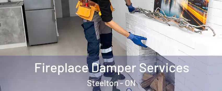  Fireplace Damper Services Steelton - ON