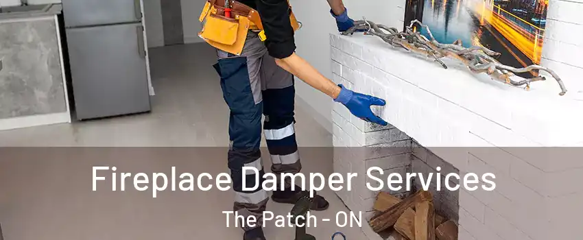  Fireplace Damper Services The Patch - ON
