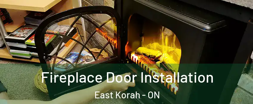  Fireplace Door Installation East Korah - ON