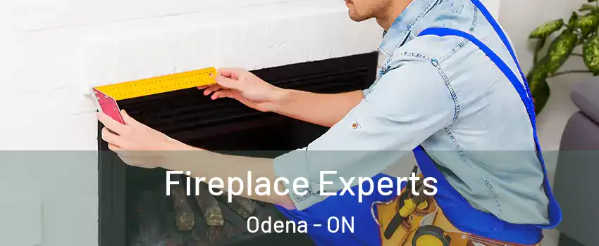 Fireplace Experts Odena - ON