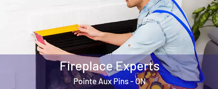  Fireplace Experts Pointe Aux Pins - ON
