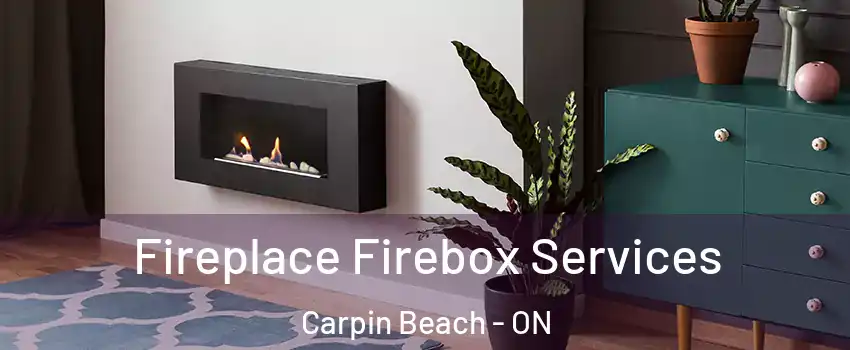  Fireplace Firebox Services Carpin Beach - ON