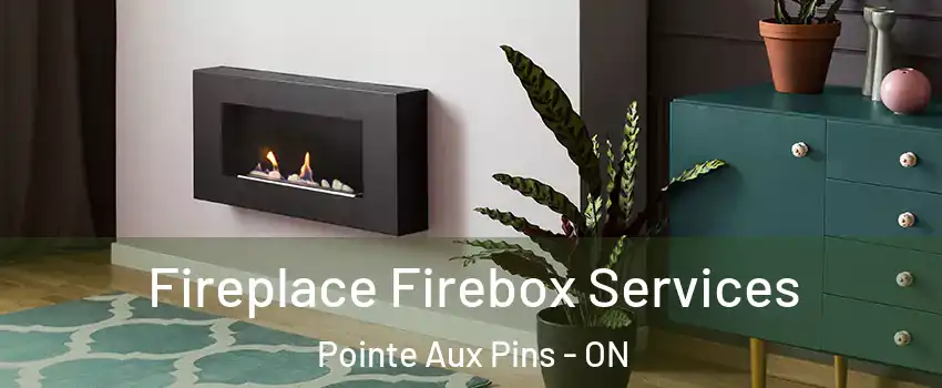  Fireplace Firebox Services Pointe Aux Pins - ON