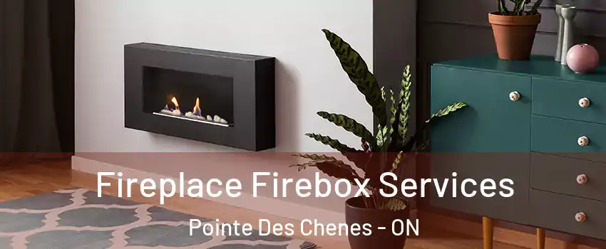  Fireplace Firebox Services Pointe Des Chenes - ON