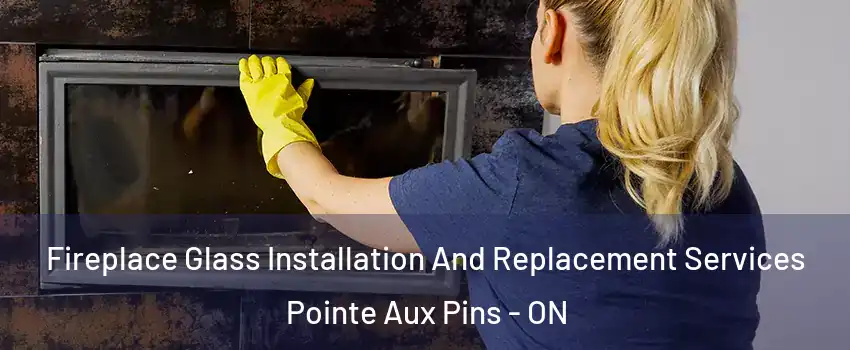  Fireplace Glass Installation And Replacement Services Pointe Aux Pins - ON