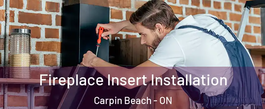  Fireplace Insert Installation Carpin Beach - ON
