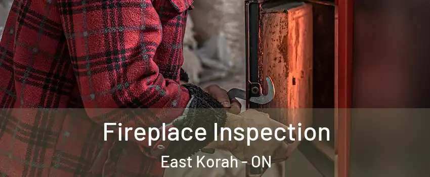  Fireplace Inspection East Korah - ON
