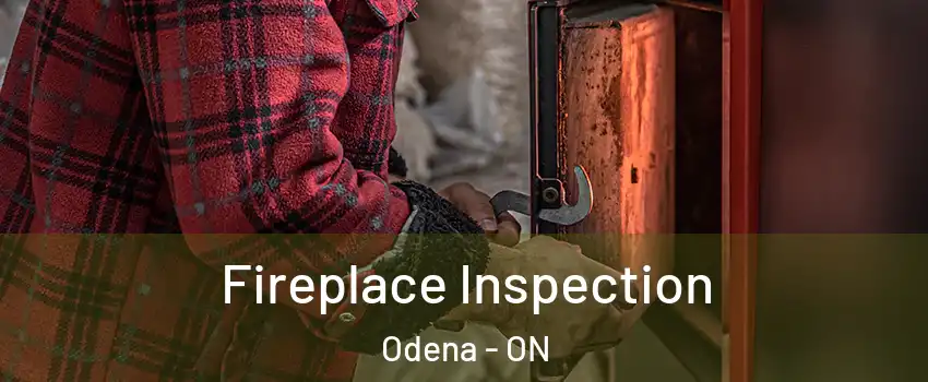  Fireplace Inspection Odena - ON