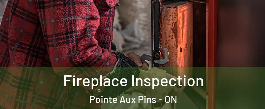  Fireplace Inspection Pointe Aux Pins - ON