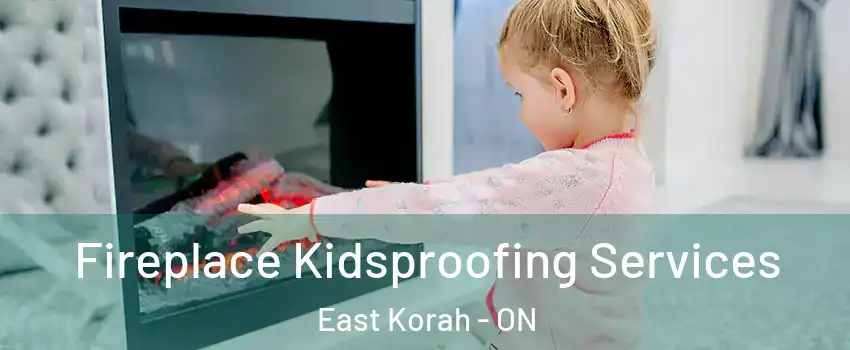  Fireplace Kidsproofing Services East Korah - ON