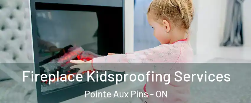  Fireplace Kidsproofing Services Pointe Aux Pins - ON