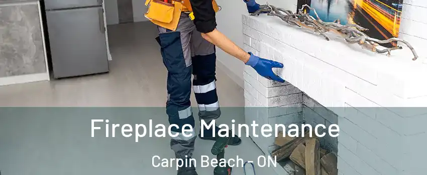  Fireplace Maintenance Carpin Beach - ON