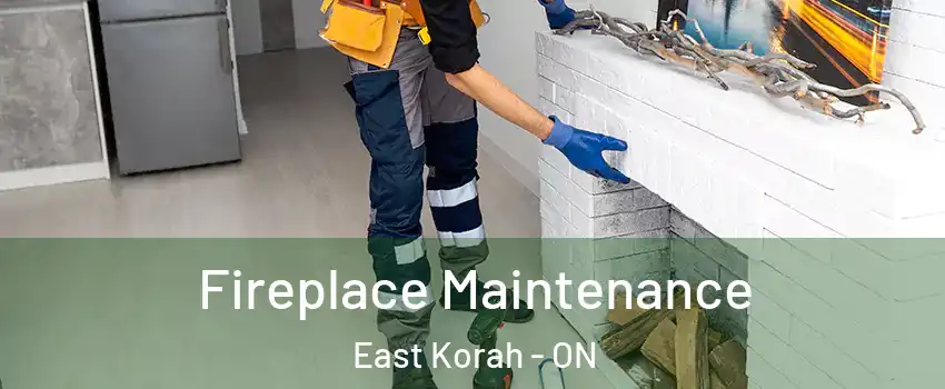  Fireplace Maintenance East Korah - ON