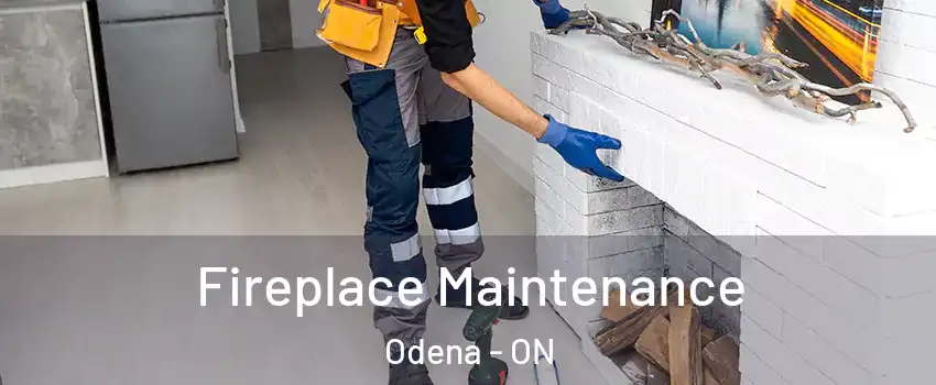  Fireplace Maintenance Odena - ON