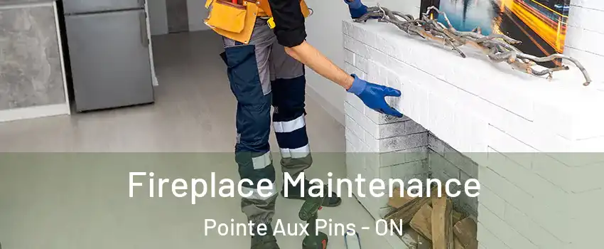  Fireplace Maintenance Pointe Aux Pins - ON
