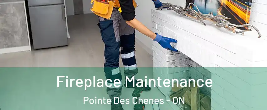  Fireplace Maintenance Pointe Des Chenes - ON
