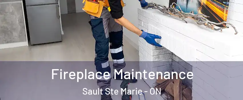  Fireplace Maintenance Sault Ste Marie - ON
