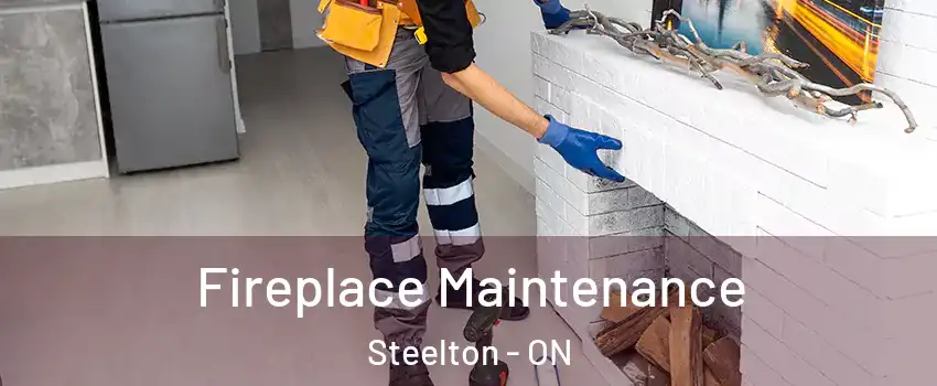  Fireplace Maintenance Steelton - ON