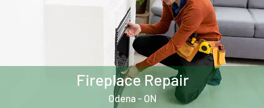  Fireplace Repair Odena - ON