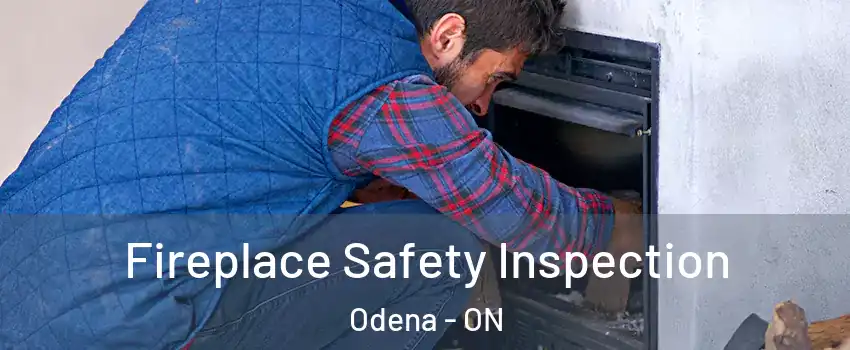  Fireplace Safety Inspection Odena - ON