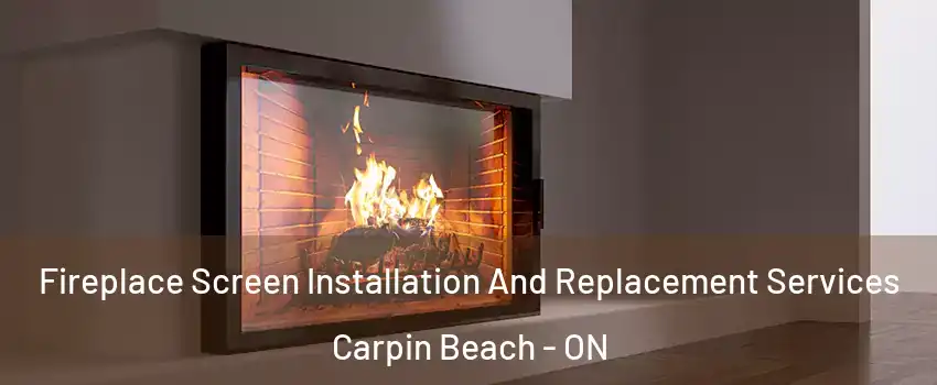  Fireplace Screen Installation And Replacement Services Carpin Beach - ON