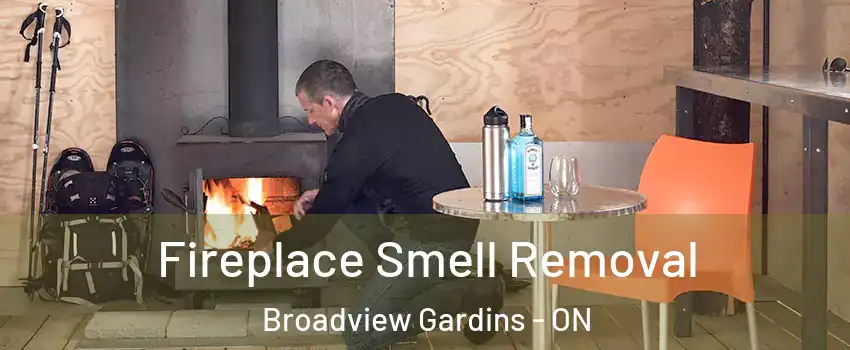  Fireplace Smell Removal Broadview Gardins - ON