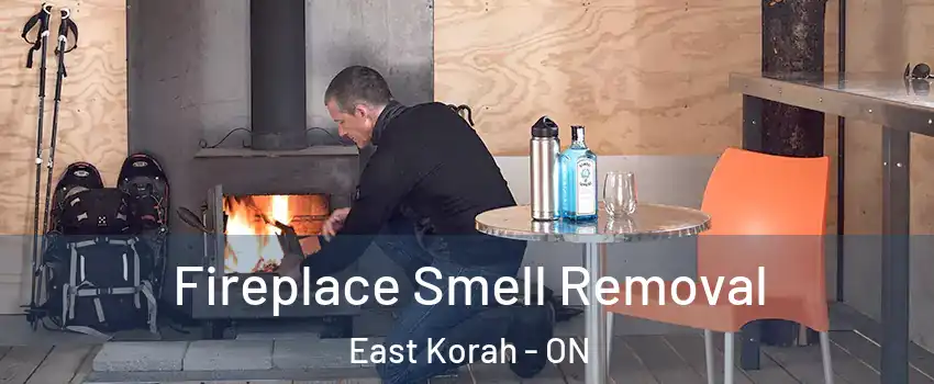  Fireplace Smell Removal East Korah - ON