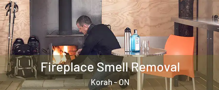  Fireplace Smell Removal Korah - ON