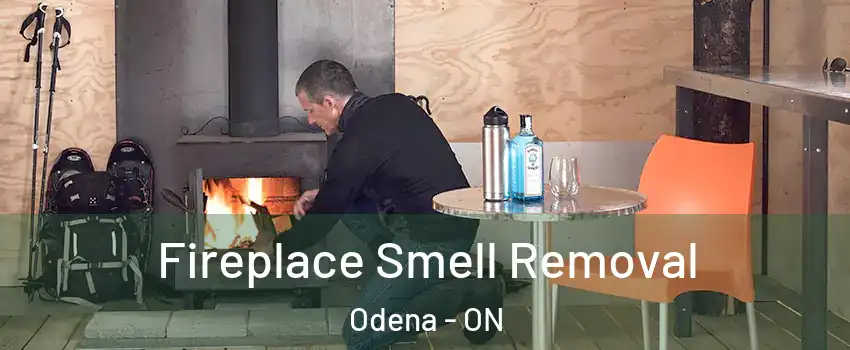  Fireplace Smell Removal Odena - ON