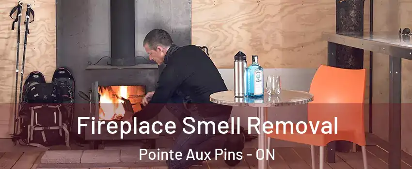  Fireplace Smell Removal Pointe Aux Pins - ON