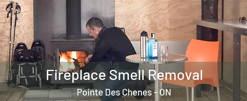  Fireplace Smell Removal Pointe Des Chenes - ON