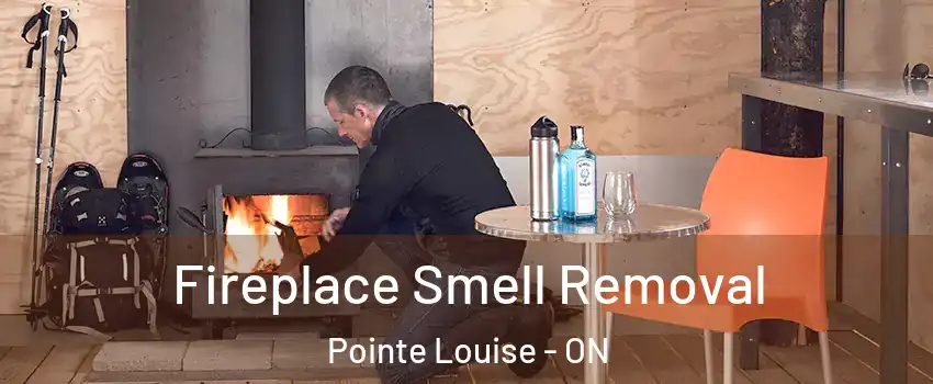  Fireplace Smell Removal Pointe Louise - ON