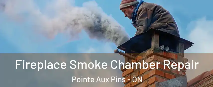  Fireplace Smoke Chamber Repair Pointe Aux Pins - ON