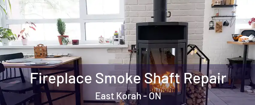  Fireplace Smoke Shaft Repair East Korah - ON