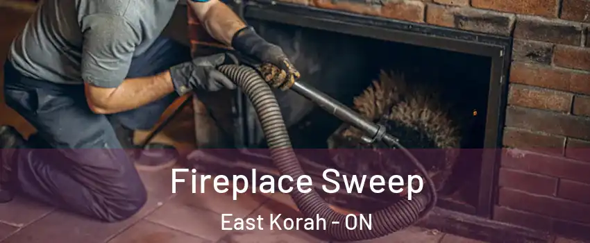  Fireplace Sweep East Korah - ON
