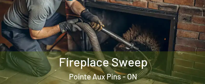  Fireplace Sweep Pointe Aux Pins - ON