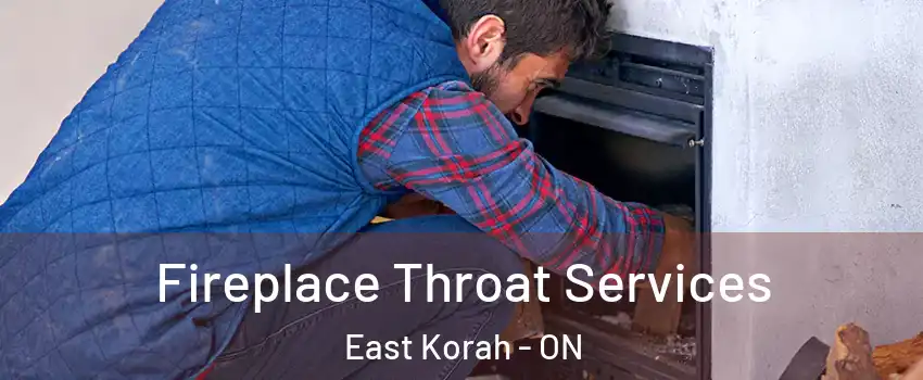  Fireplace Throat Services East Korah - ON