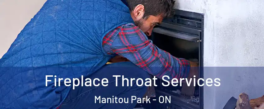  Fireplace Throat Services Manitou Park - ON