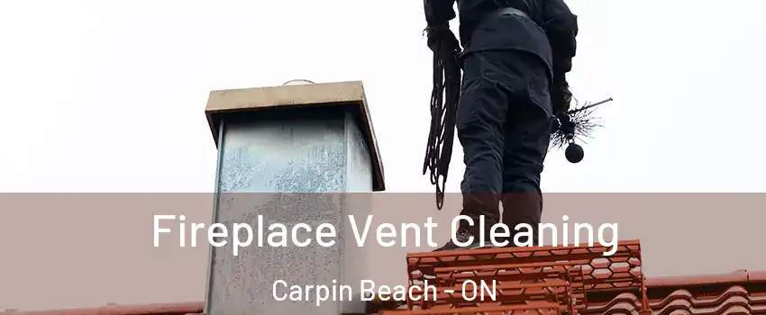 Fireplace Vent Cleaning Carpin Beach - ON