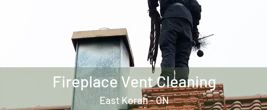  Fireplace Vent Cleaning East Korah - ON