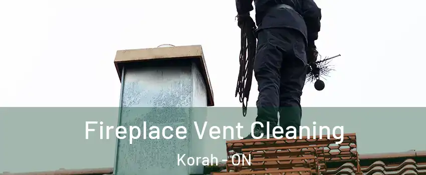  Fireplace Vent Cleaning Korah - ON