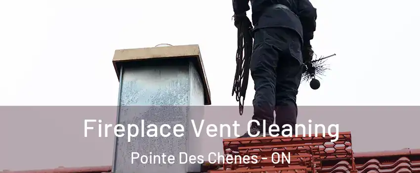  Fireplace Vent Cleaning Pointe Des Chenes - ON