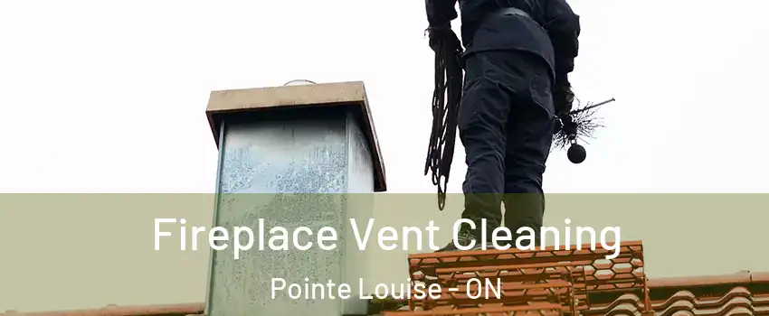  Fireplace Vent Cleaning Pointe Louise - ON