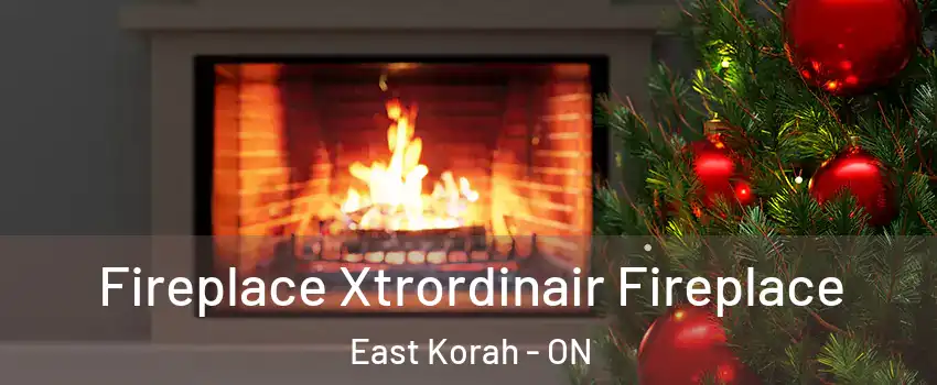  Fireplace Xtrordinair Fireplace East Korah - ON