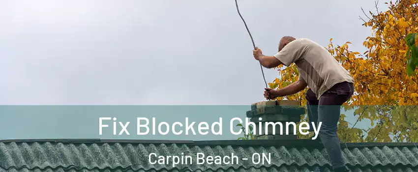 Fix Blocked Chimney Carpin Beach - ON