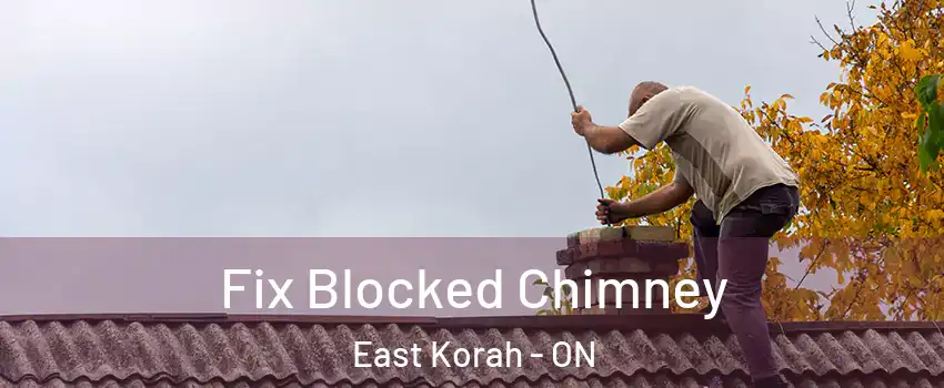  Fix Blocked Chimney East Korah - ON