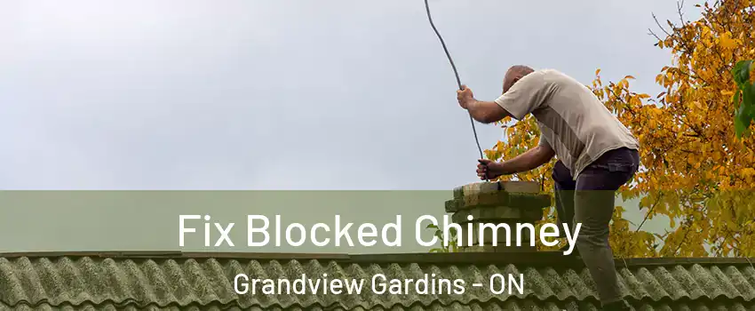  Fix Blocked Chimney Grandview Gardins - ON