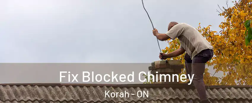  Fix Blocked Chimney Korah - ON